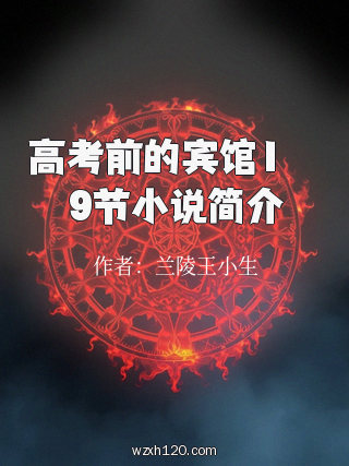 高考前的宾馆1――9节小说简介