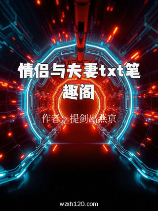 情侣与夫妻txt笔趣阁