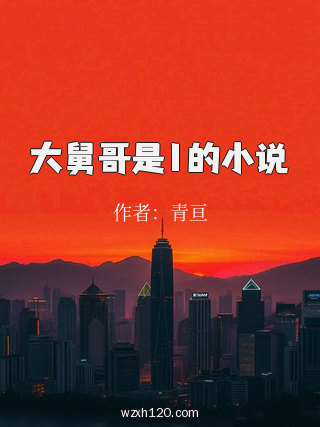 大舅哥是1的小说
