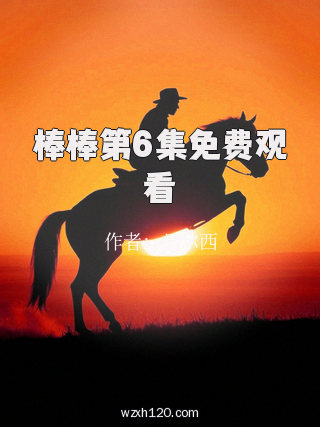 棒棒第6集免费观看