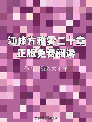 江峰方雅雯二十章正版免费阅读