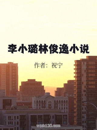 李小璐林俊逸小说