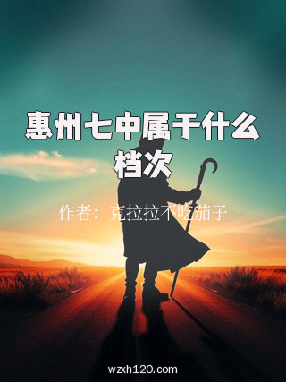 惠州七中属于什么档次