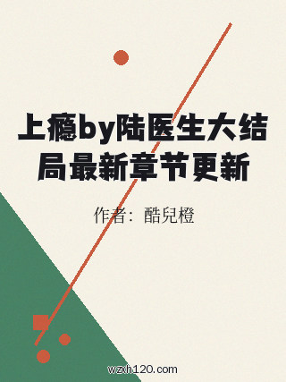 上瘾by陆医生大结局最新章节更新