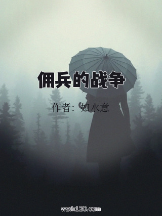 佣兵的战争