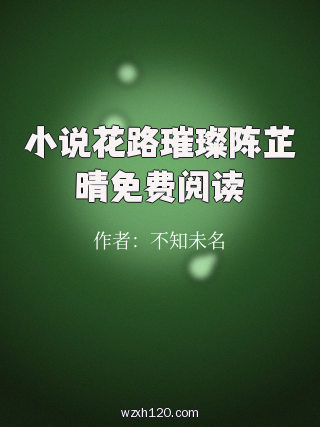 小说花路璀璨陈芷晴免费阅读