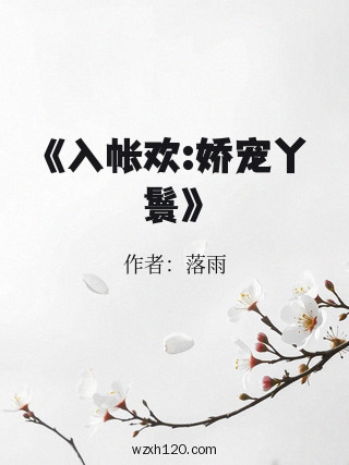 《入帐欢:娇宠丫鬟》