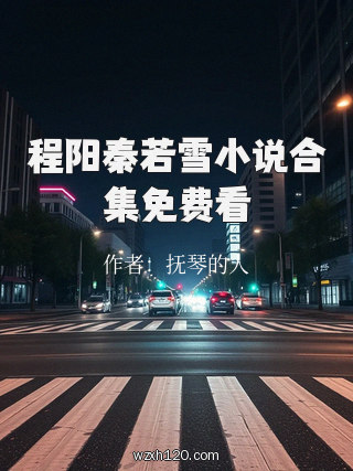 程阳秦若雪小说合集免费看