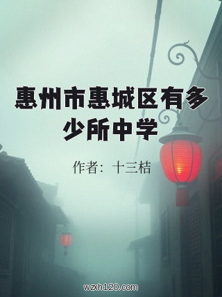 惠州市惠城区有多少所中学