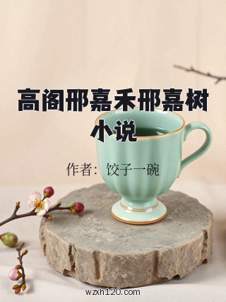高阁邢嘉禾邢嘉树小说