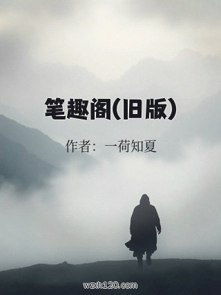 笔趣阁(旧版)