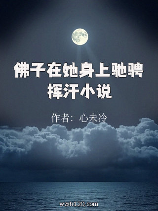 佛子在她身上驰骋挥汗小说