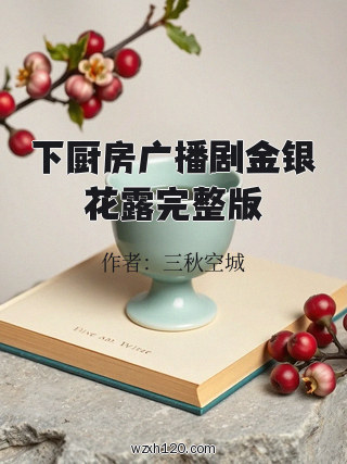 下厨房广播剧金银花露完整版