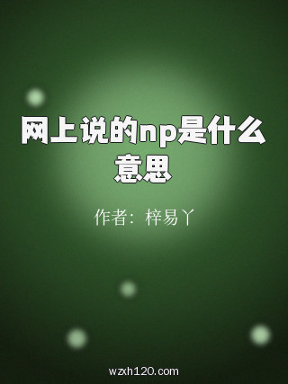 网上说的np是什么意思