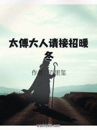 太傅大人请接招暖冬