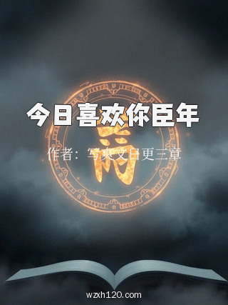 今日喜欢你臣年