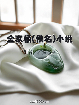 全家桶(佚名)小说