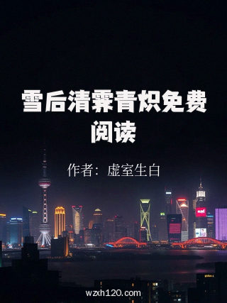 雪后清霁青炽免费阅读