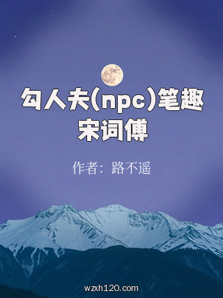 勾人夫(npc)笔趣宋词傅
