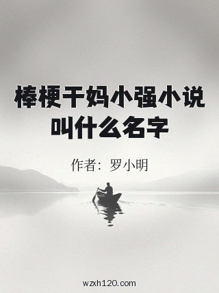 棒梗干妈小强小说叫什么名字