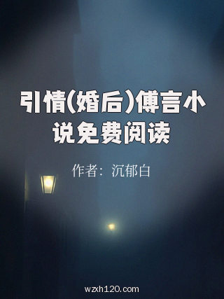 引情(婚后)傅言小说免费阅读