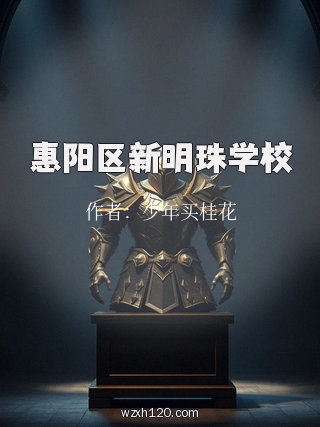 惠阳区新明珠学校