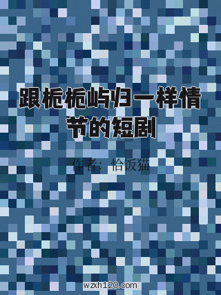 跟栀栀屿归一样情节的短剧