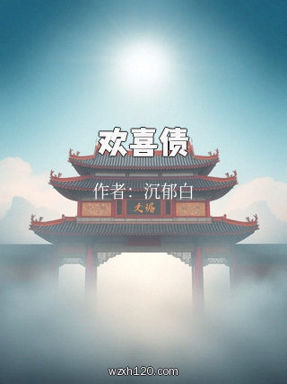 欢喜债