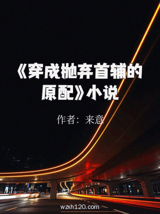 《穿成抛弃首辅的原配》小说