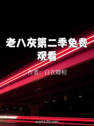老八灰第二季免费观看
