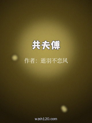 共夫傅