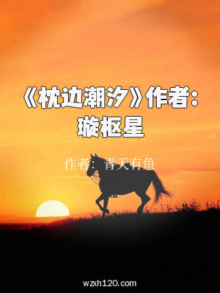 《枕边潮汐》作者:璇枢星