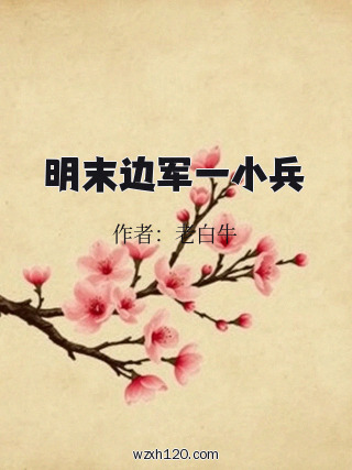 明末边军一小兵