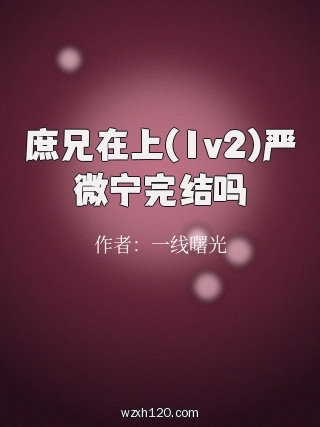 庶兄在上(1v2)严微宁完结吗
