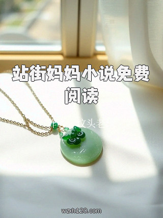 站街妈妈小说免费阅读