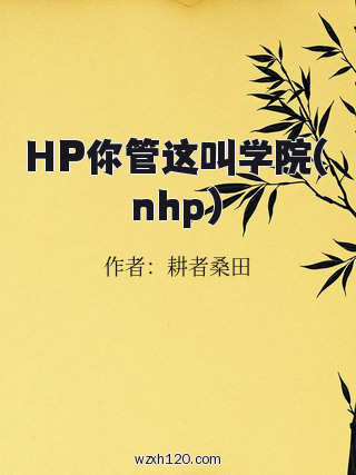 HP你管这叫学院(nhp)