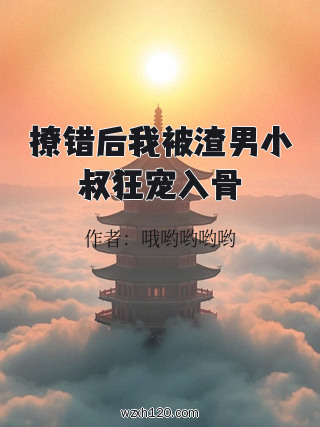 撩错后我被渣男小叔狂宠入骨