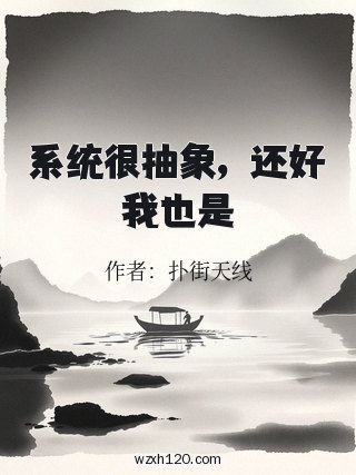 系统很抽象,还好我也是