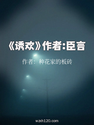 《诱欢》作者:臣言