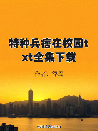 特种兵痞在校园txt全集下载