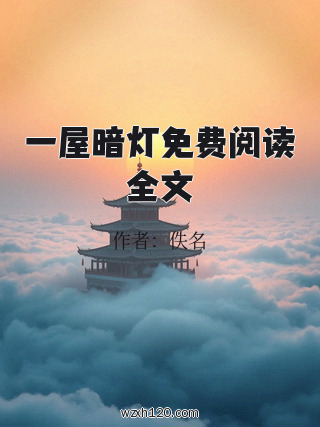 一屋暗灯免费阅读全文