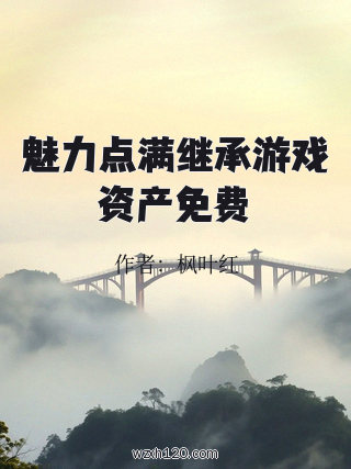 魅力点满继承游戏资产免费