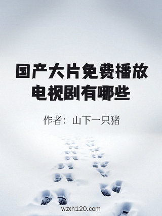 国产大片免费播放电视剧有哪些