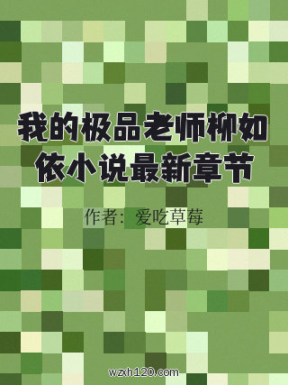 我的极品老师柳如依小说最新章节