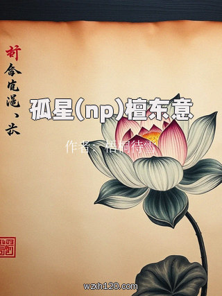 孤星(np)檀东意