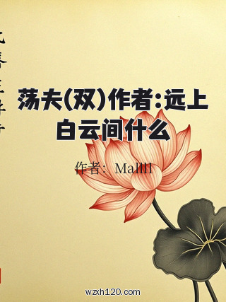 荡夫(双)作者:远上白云间什么