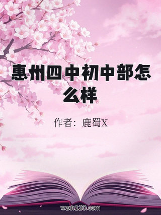 惠州四中初中部怎么样