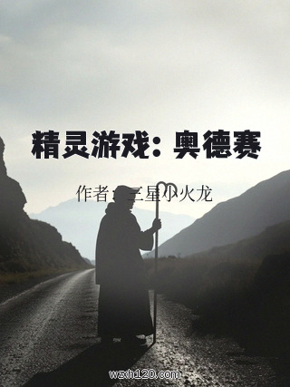 精灵游戏:奥德赛