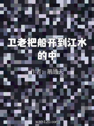 卫老把船开到江水的中