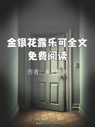 金银花露乐可全文免费阅读